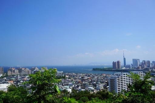 ⛩️ 와시오 아타고 신사 이미지 6